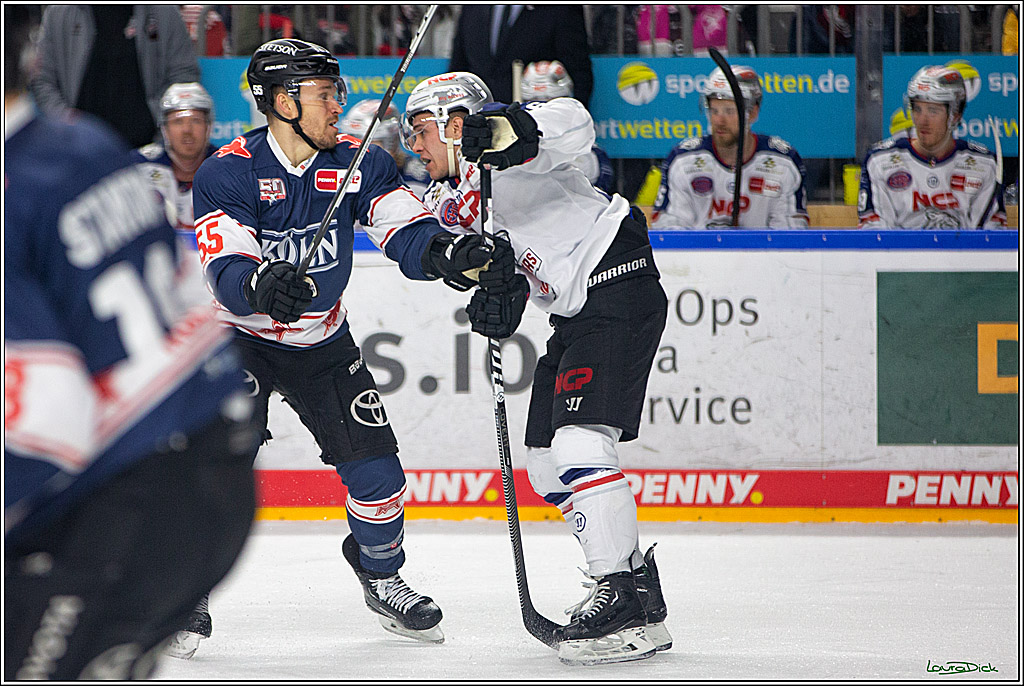 PENNY DEL; Koelner Haie- Nuernberger Ice Tigers; Koeln, 29.01.2023